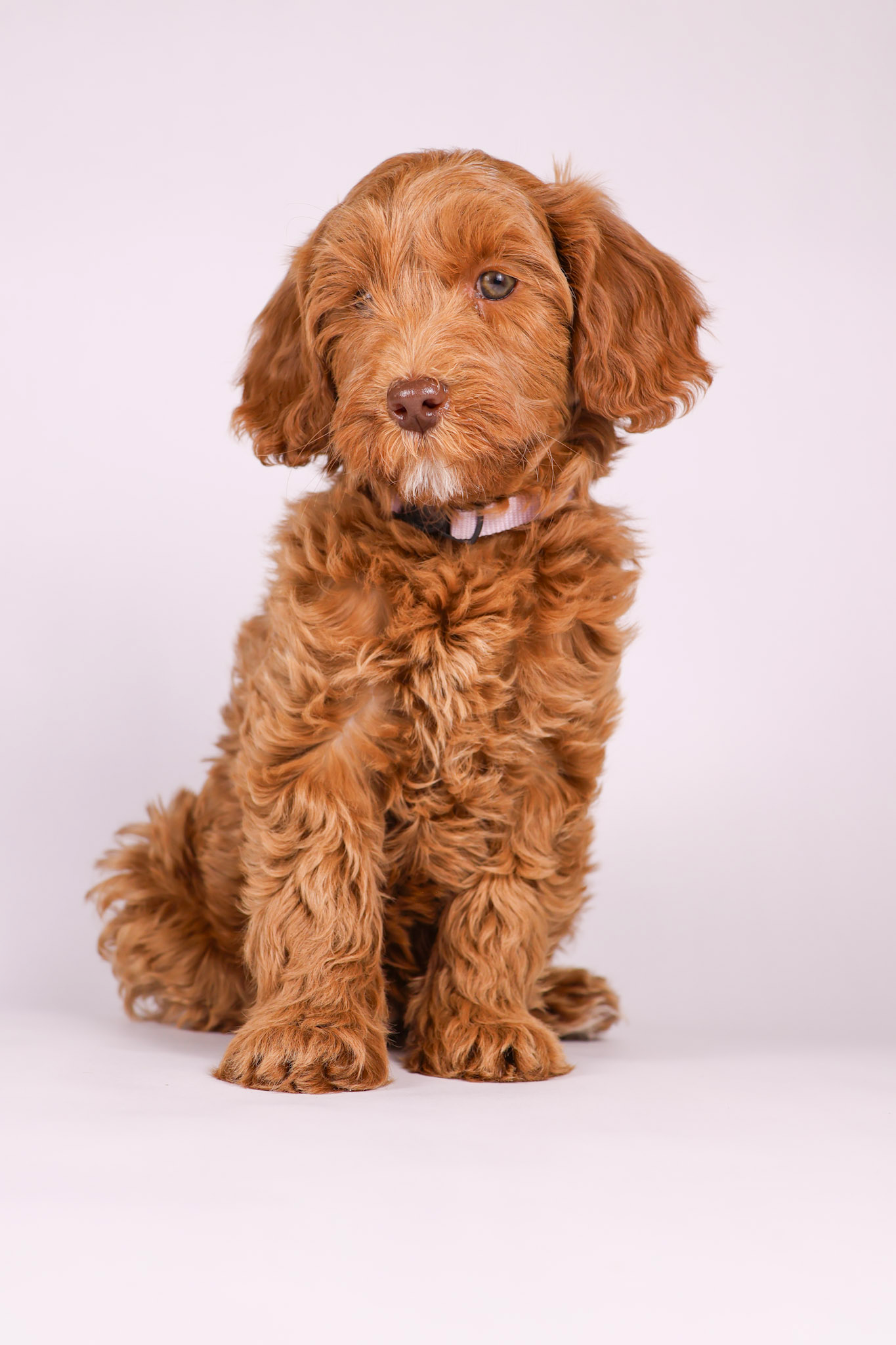 Winnie