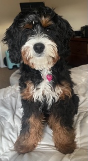 Mama Skye