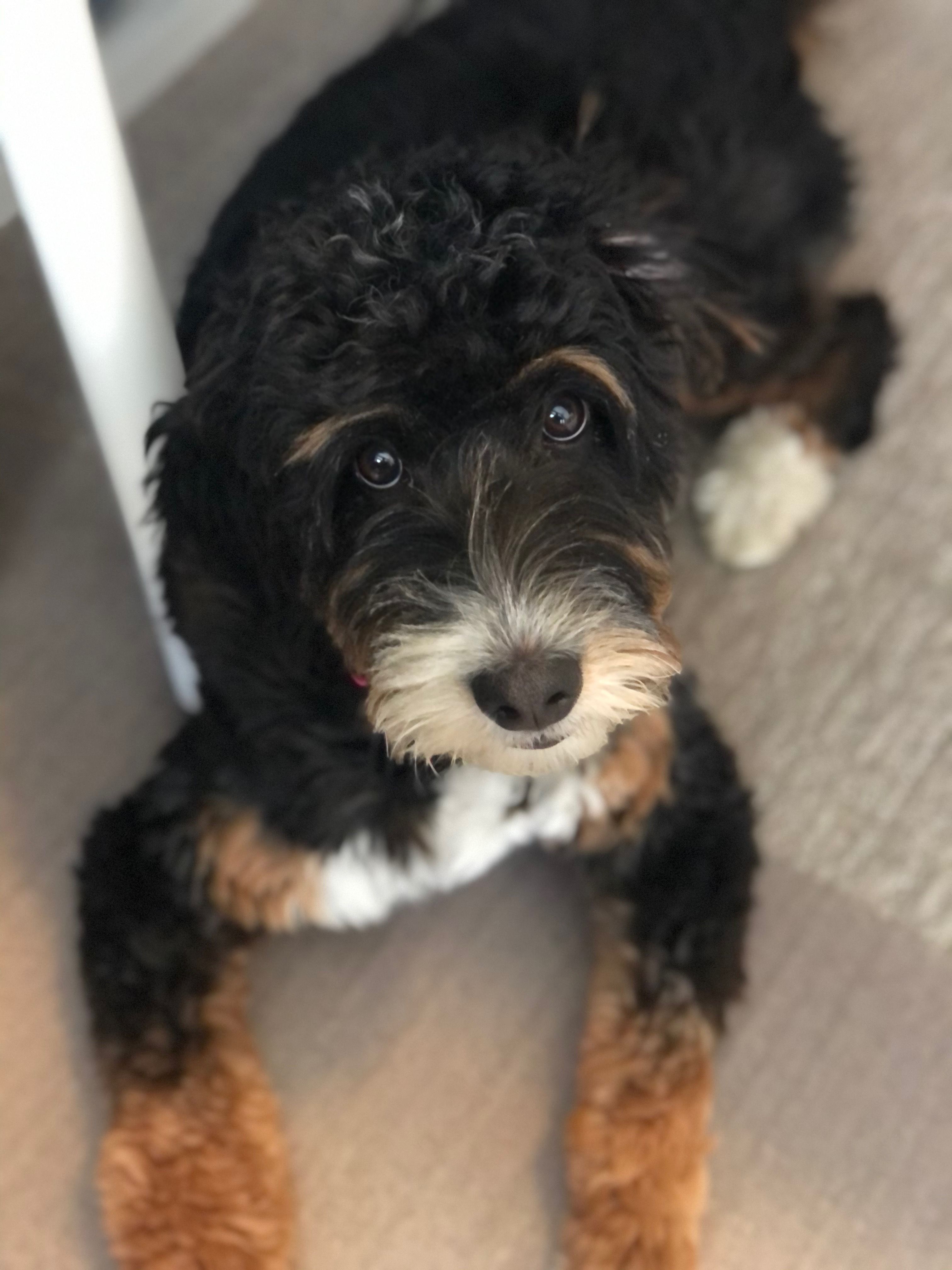 Luna